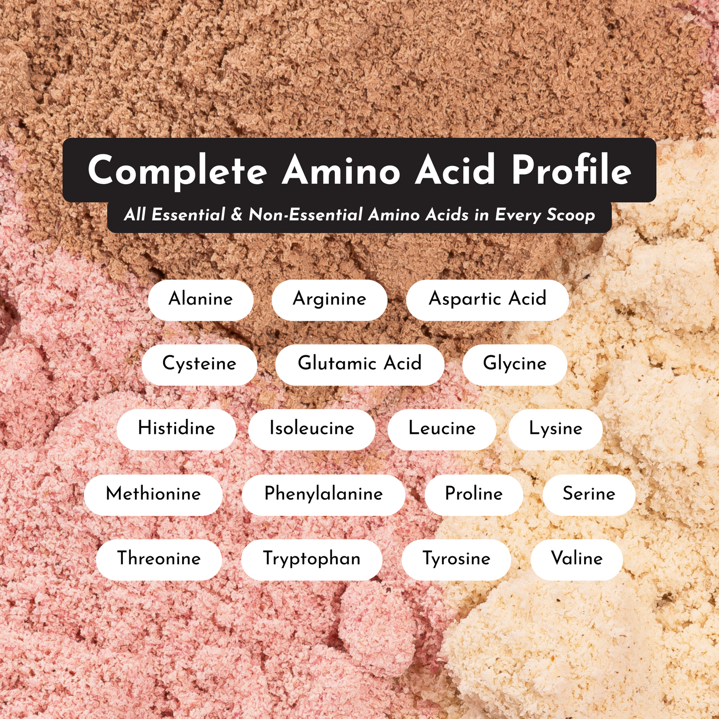 French Vanilla Protein Powder